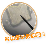 フルボ酸拡大図