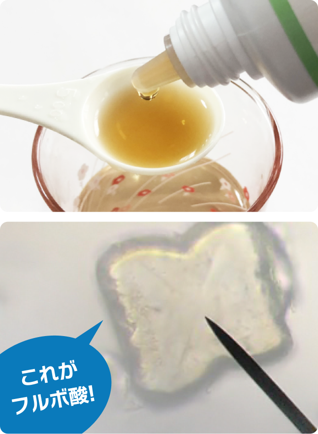 こだわりの成分
