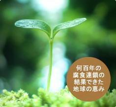 何百年の食物連鎖の結果できた地球の恵み