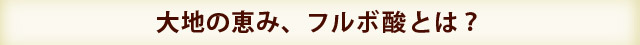 大地の恵みミヤモンテフルボ酸とは