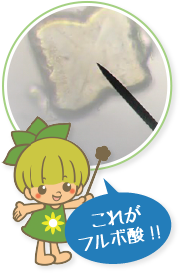 これがフルボ酸