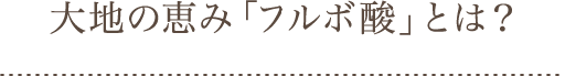 大地の恵みフルボ酸とは？