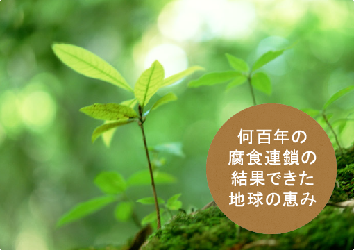 何百年の腐食連鎖の結果できた地球の恵み