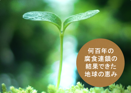 何百年の腐食連鎖の結果できた地球の恵み