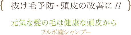 抜け毛予防・頭皮の改善に！！　元気な髪の毛は健康な頭皮から　フルボ酸シャンプー